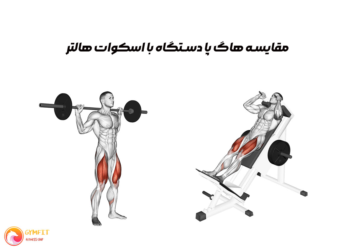 هاگ پا یا اسکوات با هالتر؟