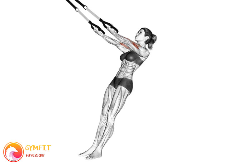 زنی در حال اجرای جلو بازو با تسمه تی آر ایکس TRX 