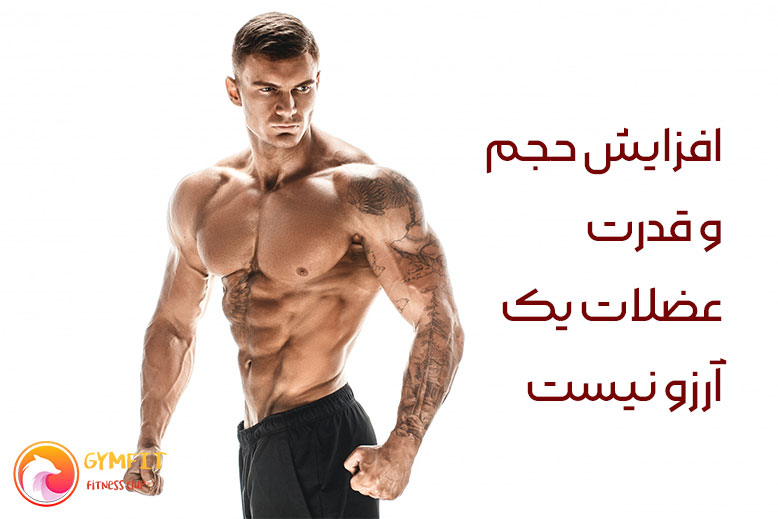 برنامه تمرینی اسپلیت پاور  PHAT