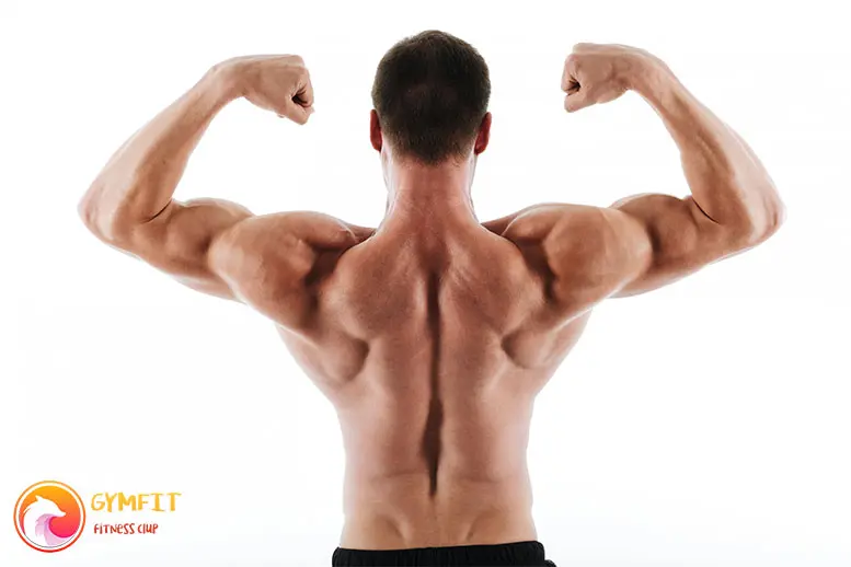 عکس ورزشی مرد جوان که عضلات دوسر پشت خود را نشان می دهد