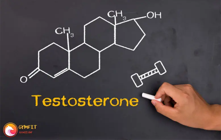تخته سیاه و نوشته هورمون testostrone
