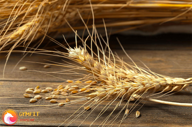 جوانه گندم چگونه برای سلامتی شما مفید است