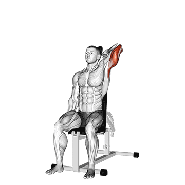 Dumbbell-Seated-Reverse-Grip-One-Arm-Overhead-Tricep-Extension_Upper-Arms
