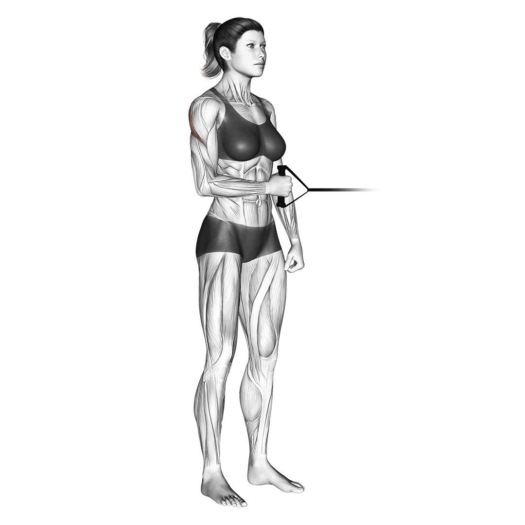 زنی در حال انجام چرخش خارجی شانه با کش (Banded External Shoulder Rotations)