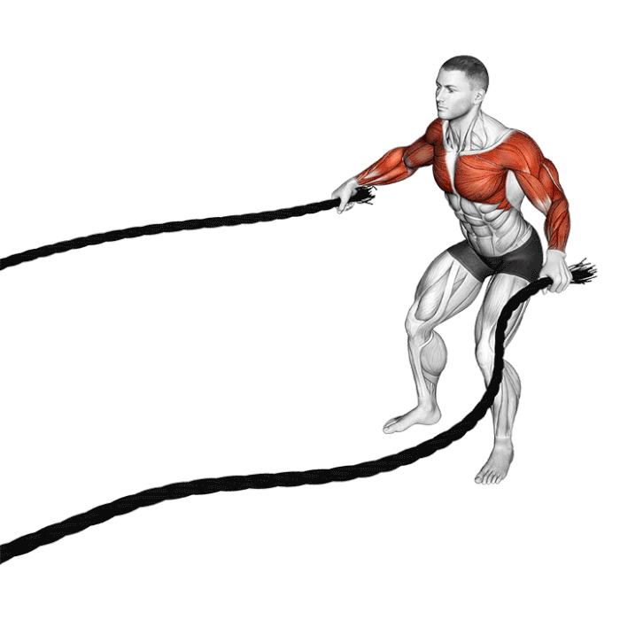 حرکت اسلم (Slam) ایستاده