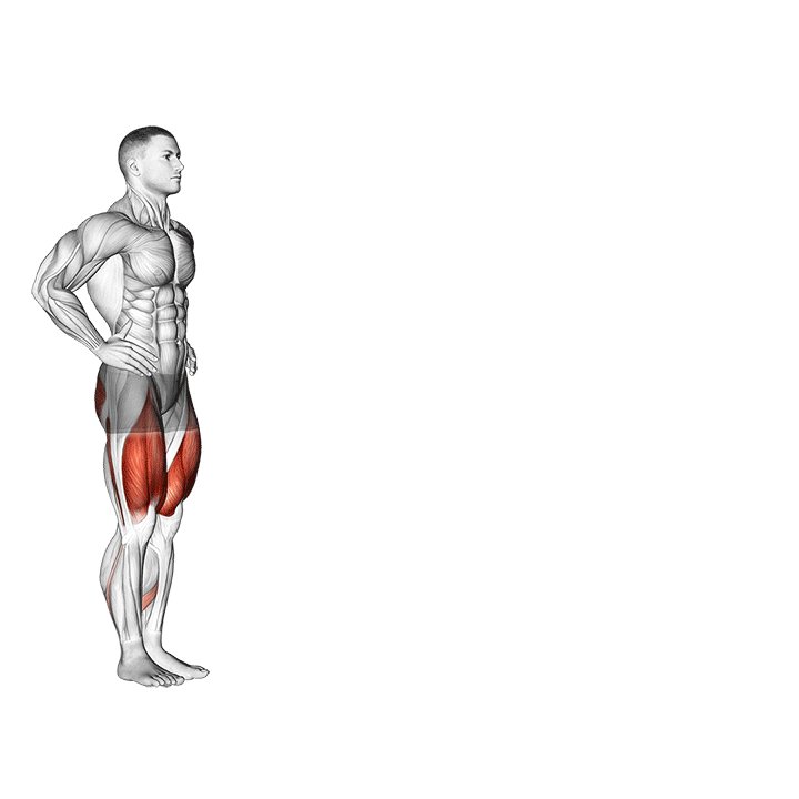 لانچ راهرفتنی (Walking Lunges)