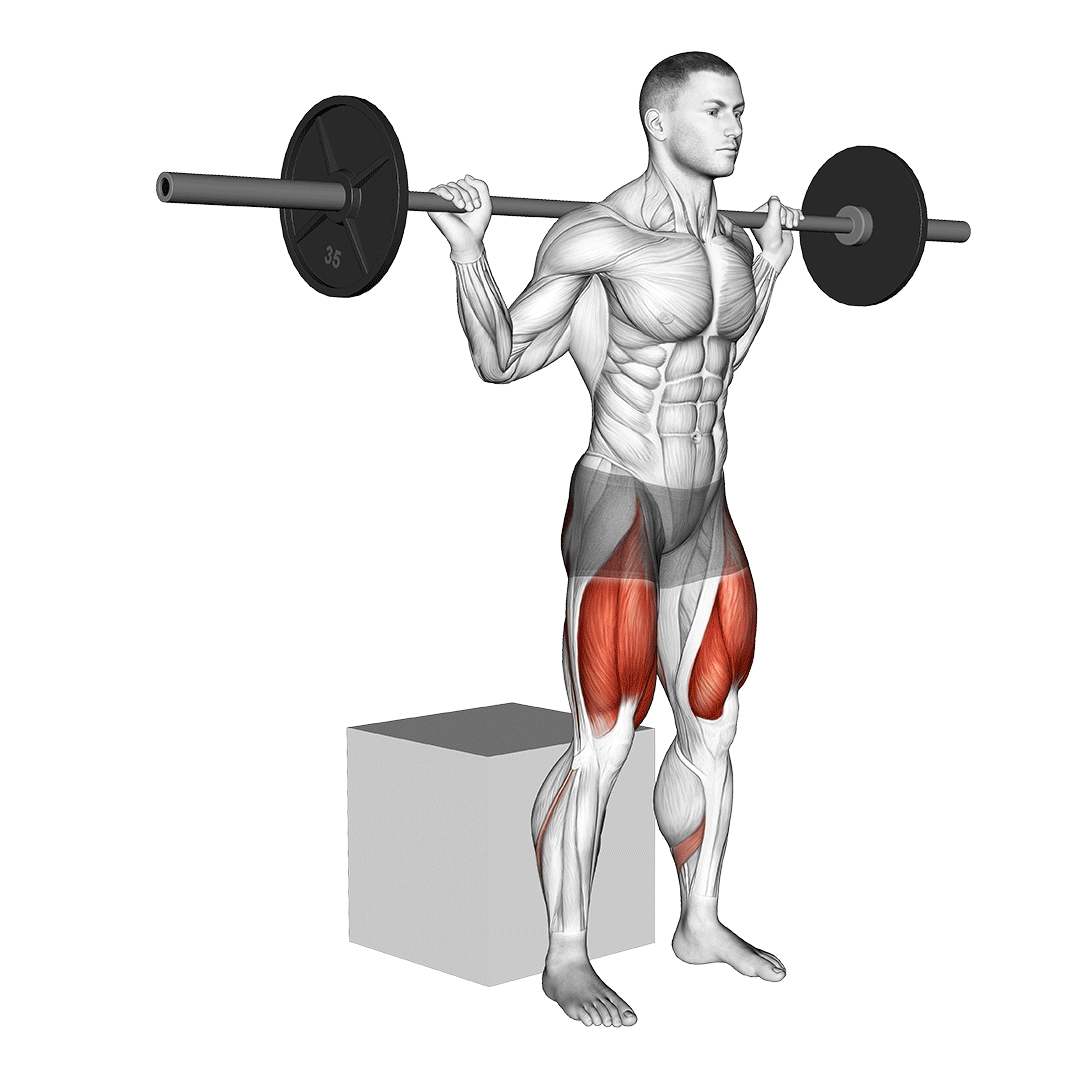مردی در حال اجرای اسکوات با جعبه (Box Squat)