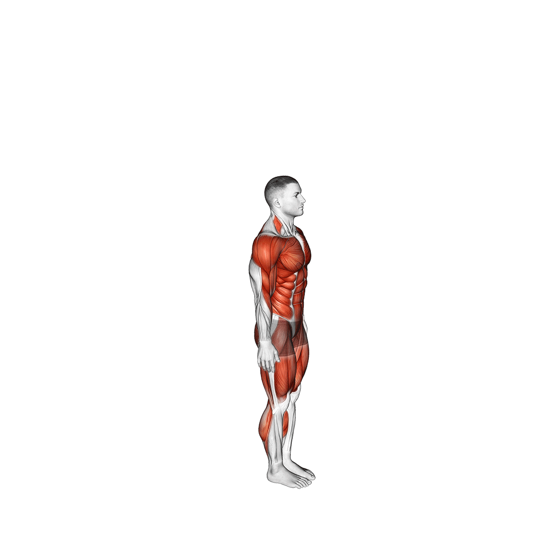 مردی در حال اجرای بورپی پروانه