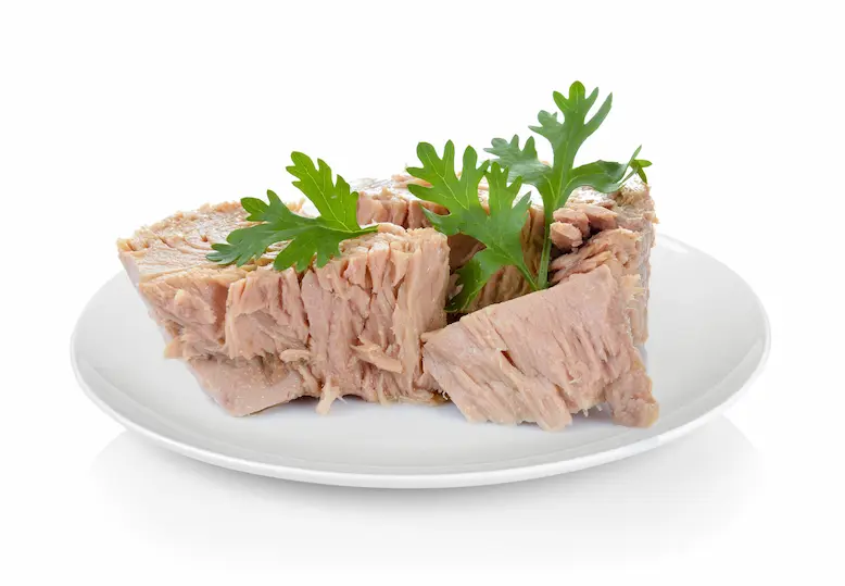 canned-tuna-fish-plate-white-space