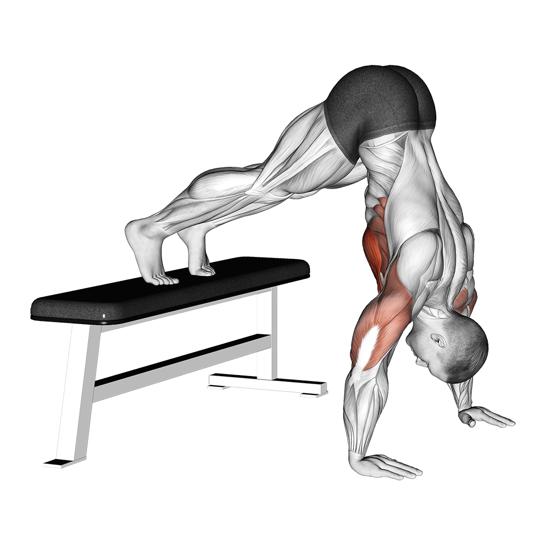مردی در حال اجرای صحیح شنای سرشانه دیکلاین (Decline Shoulder Push-Up)