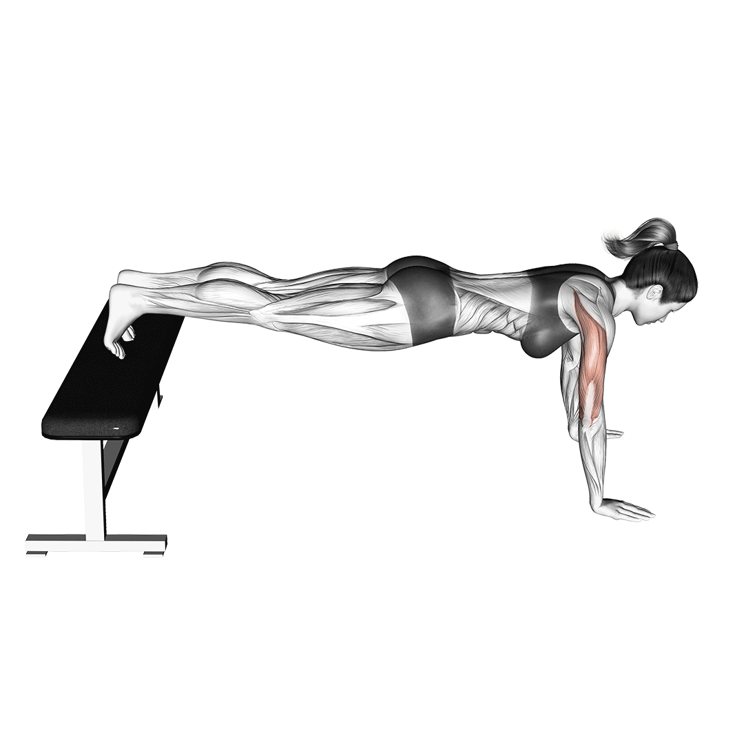 شنا شیبدار نزولی (Decline Push-ups)