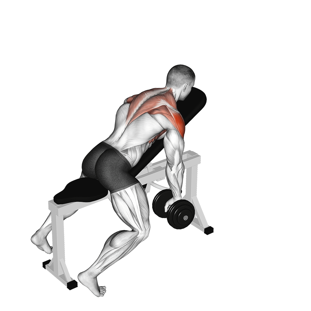 مردی در حال اجرای نشر Y با دمبل روی میز شیب دار (Dumbbell Y Raises)