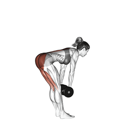 dumbbell-stiff-leg-deadlift