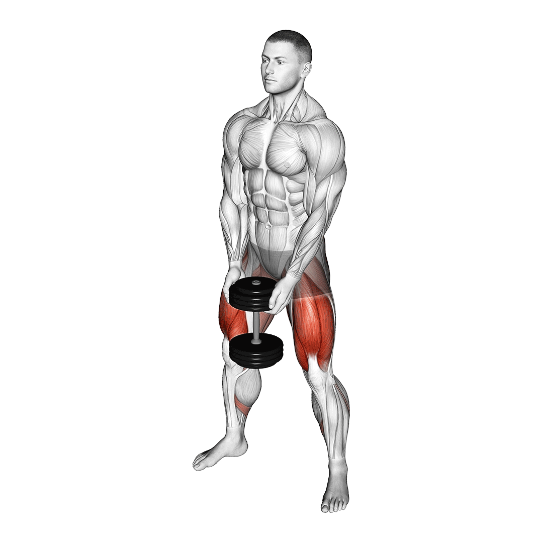 نحوه اجرای اسکات سومو با دمبل