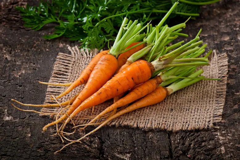 fresh-carrots-old-wooden-surface