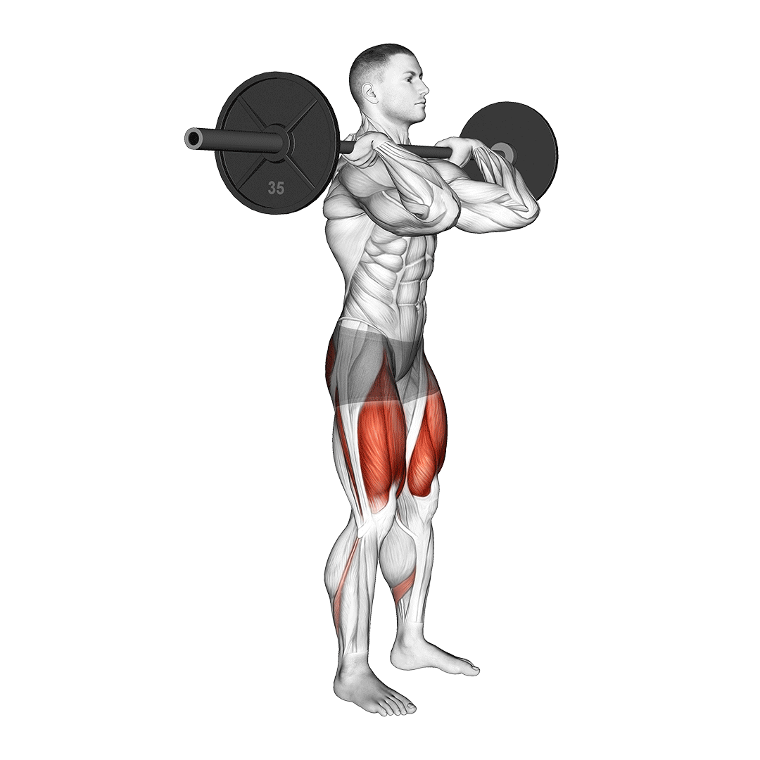 اسکات هالتر از جلو | Front Squat