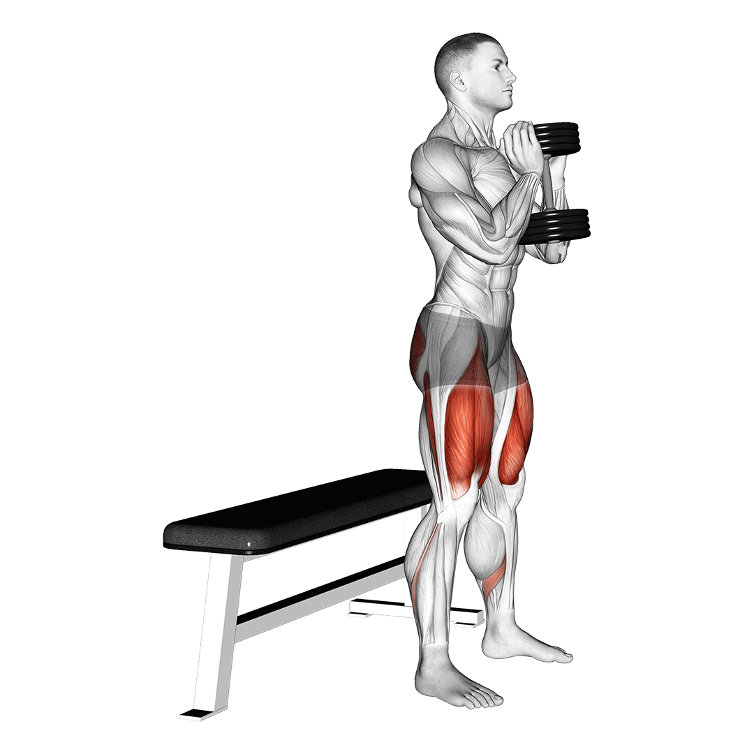اسکات گابلت روی نیمکت (Box Squat)