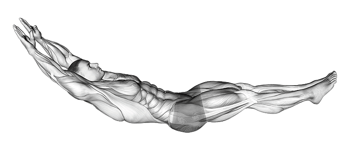 آموزش تصویری هالو هولد و عضلات درگیر