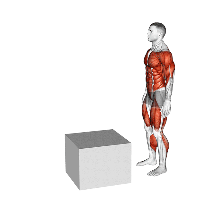 پرش روی جعبه با فرود در حالت اسکات تکپا (Pistol Squat)