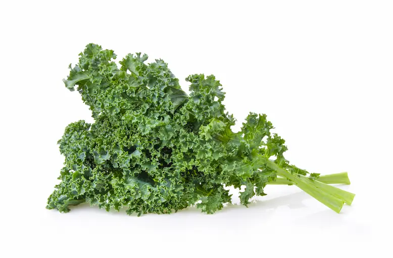 kale-leaves-isolated-white