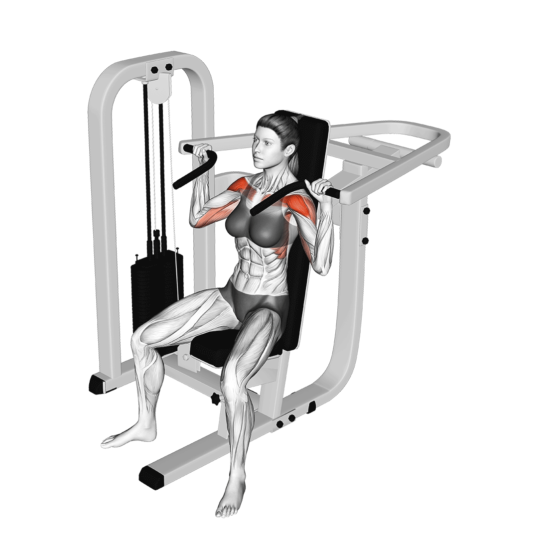 پرس سرشانه دستگاه (Machine Shoulder Press)