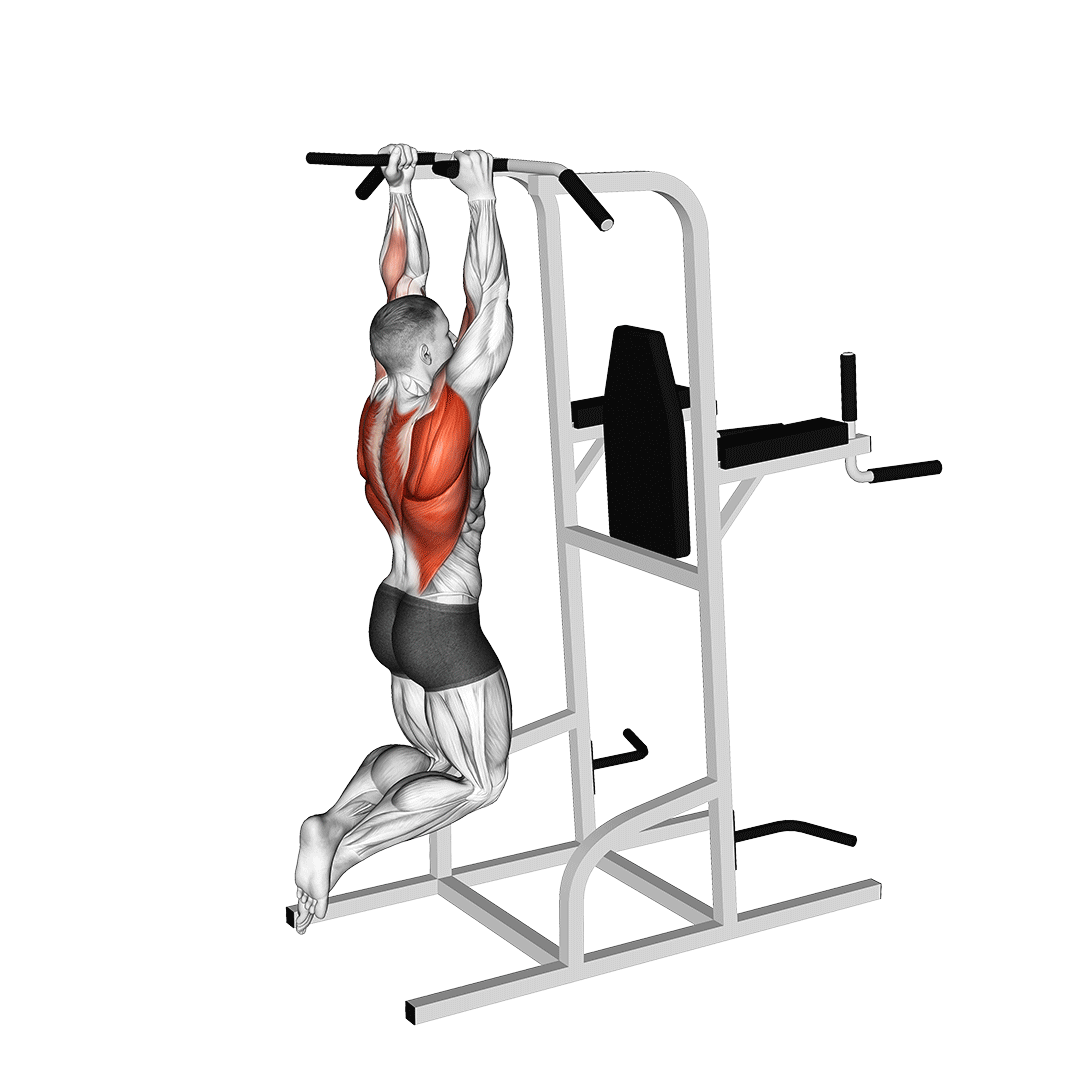 بارفیکس دست موازی (Neutral Grip Pull-Up)