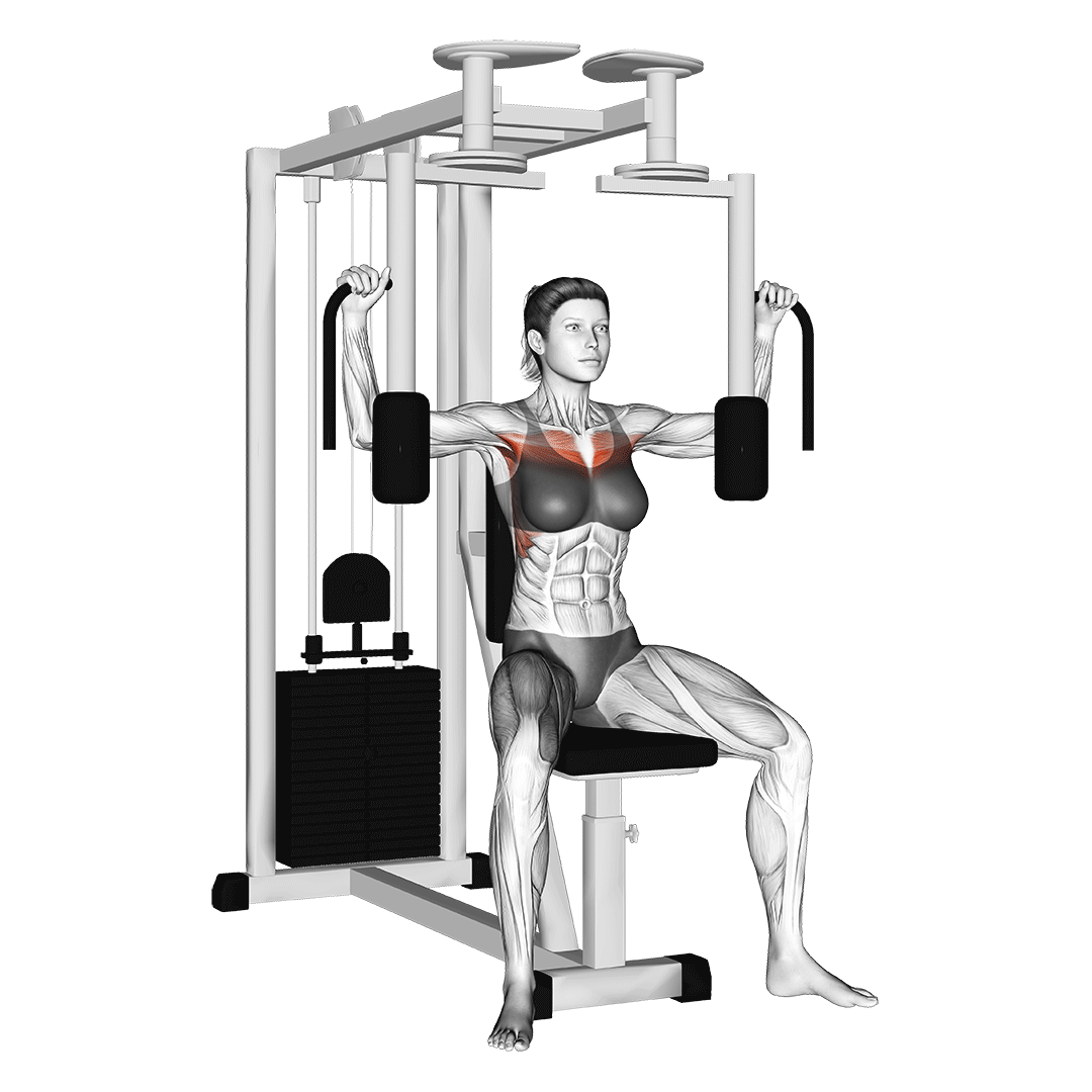 دِک فلای (Pec Deck Machine)