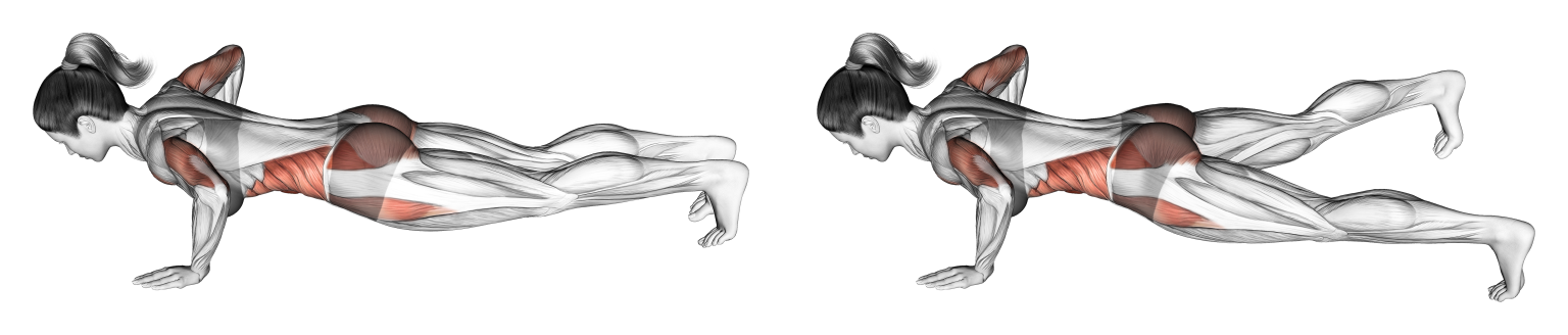 مراحل اجرای صحیح پلانک پروانه