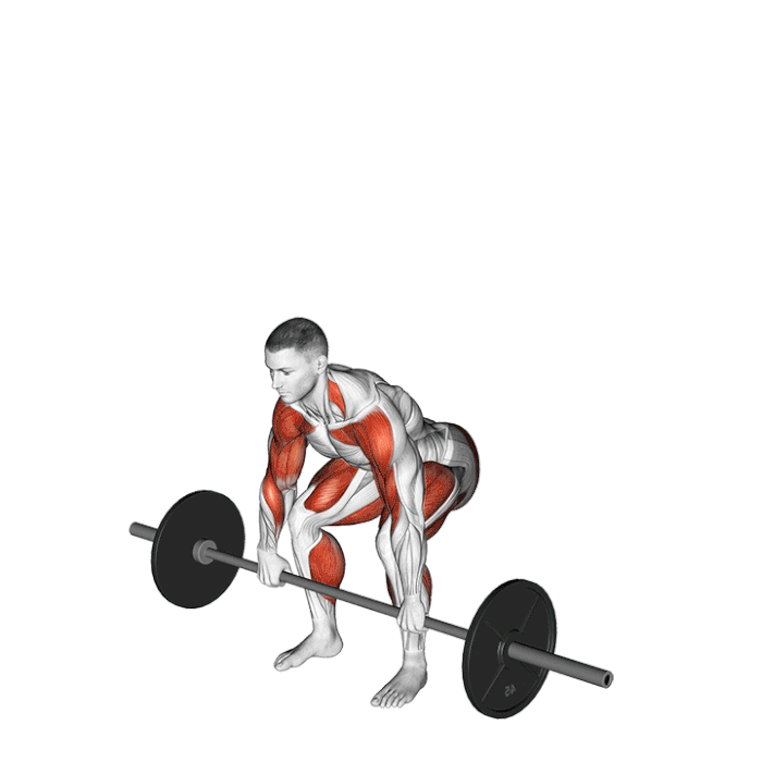 پاور کلین (Power Clean)