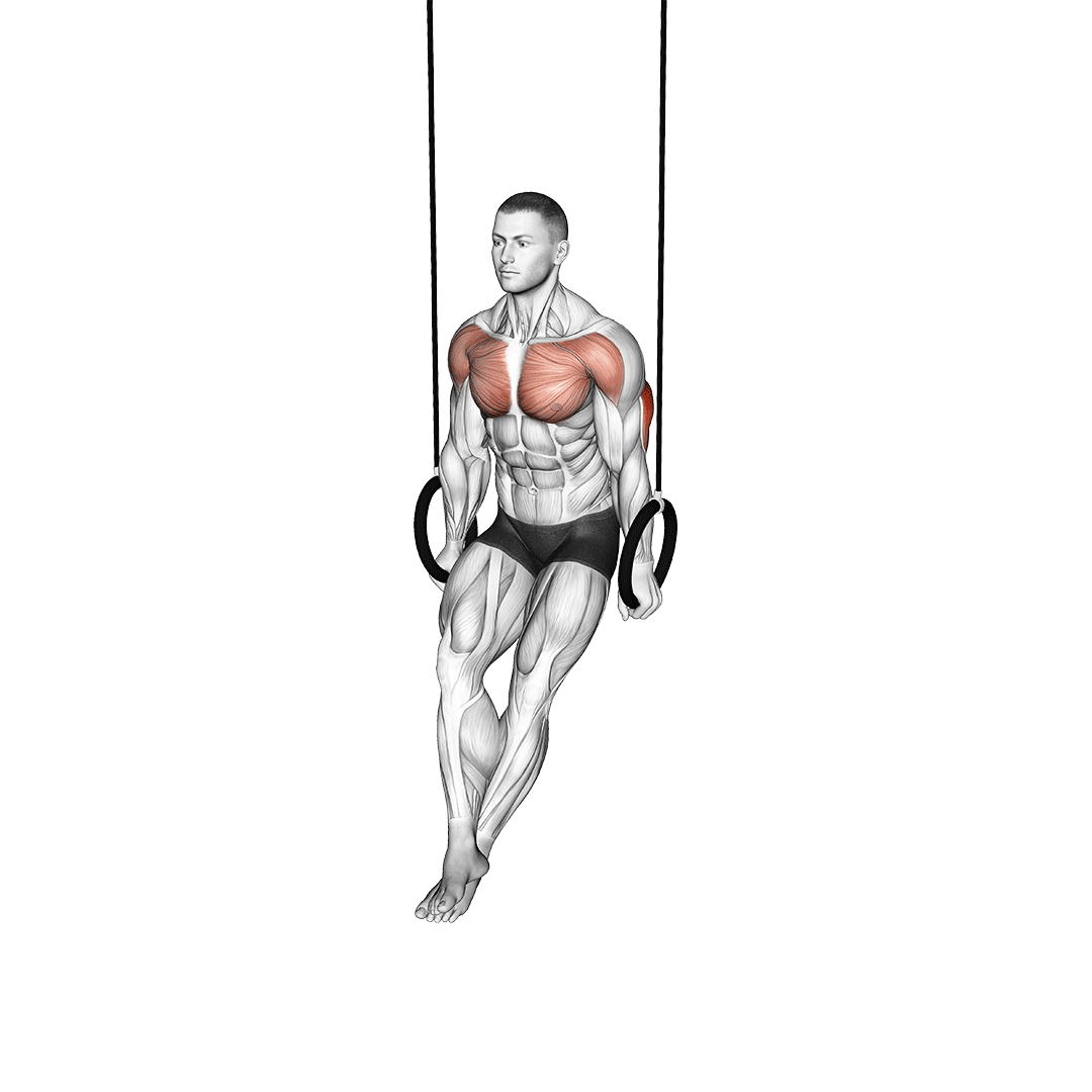 مردی در حال اجرای دیپ سینه با حلقه ژیمناستیک