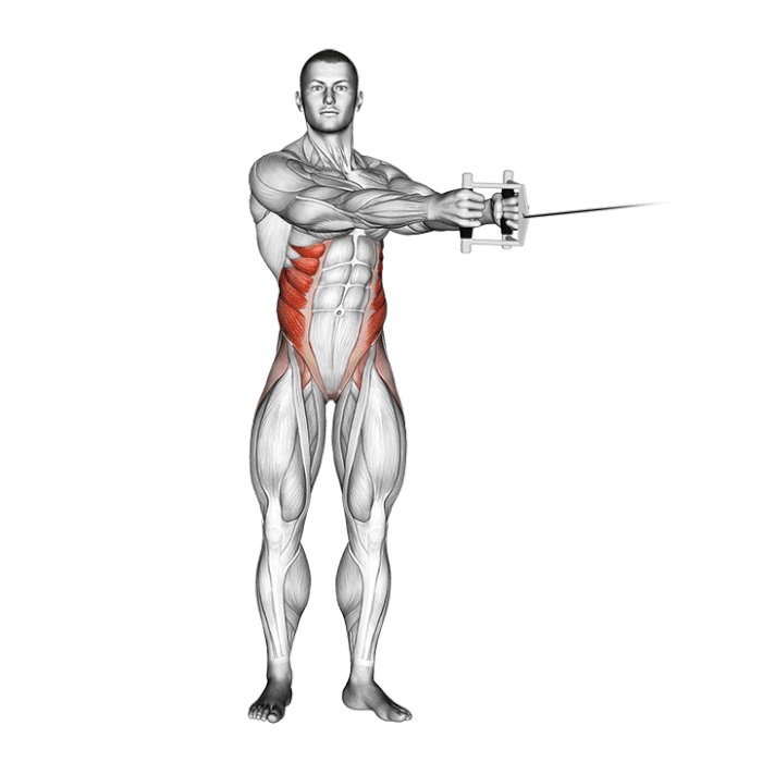 آموزش تصویری پهلو چرخشی سیم کش و عضلات درگیر