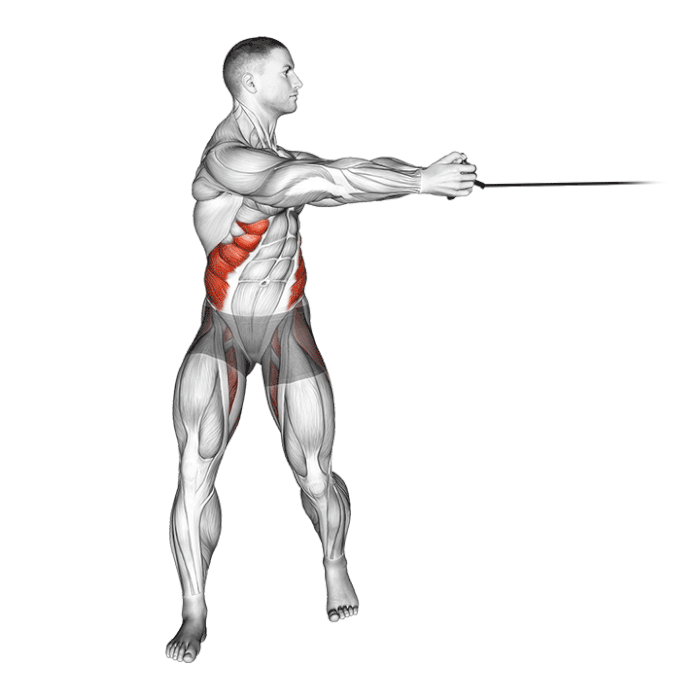 آموزش تصویری پهلو چرخشی با کش و عضلات درگیر