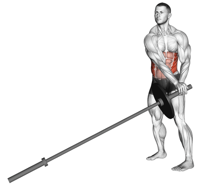 آموزش تصویری پهلو چرخشی با لندماین و عضلات درگیر