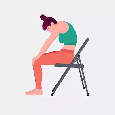 seated-cat