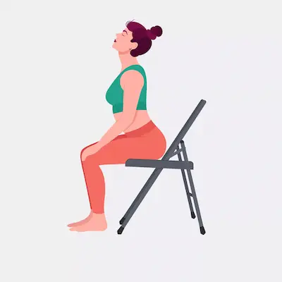 seated-cow