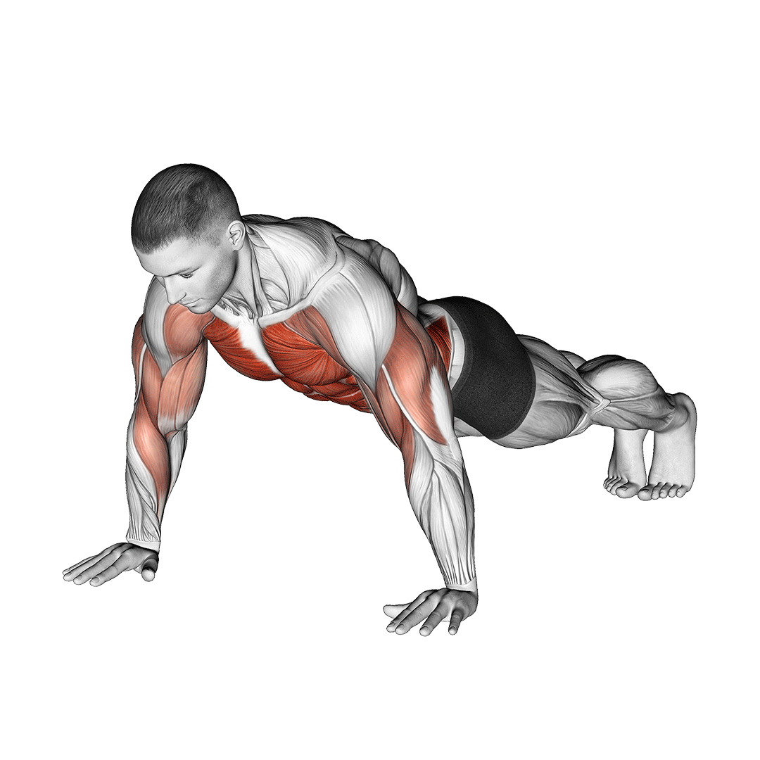مردی در حال اجرای شنای ضربه به شانه (Shoulder Tap Push-Up)