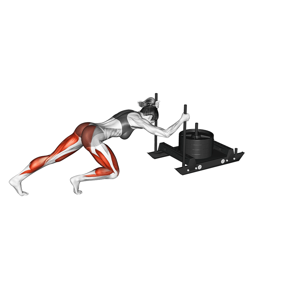 هل دادن سورتمه (Sled Push)