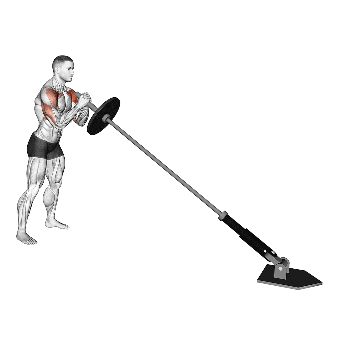 پرس سرشانه لندماین (Landmine Shoulder Press)