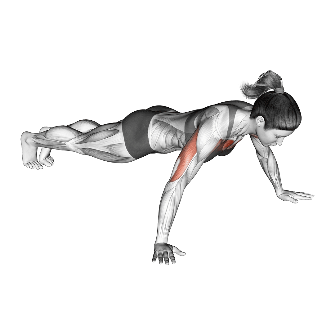 زنی در حال اجرای صحیح شنای دست باز (Wide Push-Up)